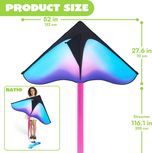 JOYIN Large Delta Beach Kite Gradient Blue & Purple for Kids and Adults