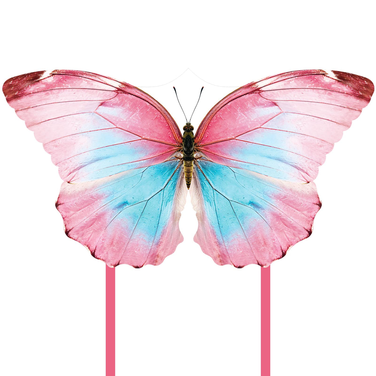 Butterfly Kite for Kids & Adults, Outdoor Kite, Perfect for Beginners, Easy to Fly, Ideal for Beaches, backyards, Grassy Areas