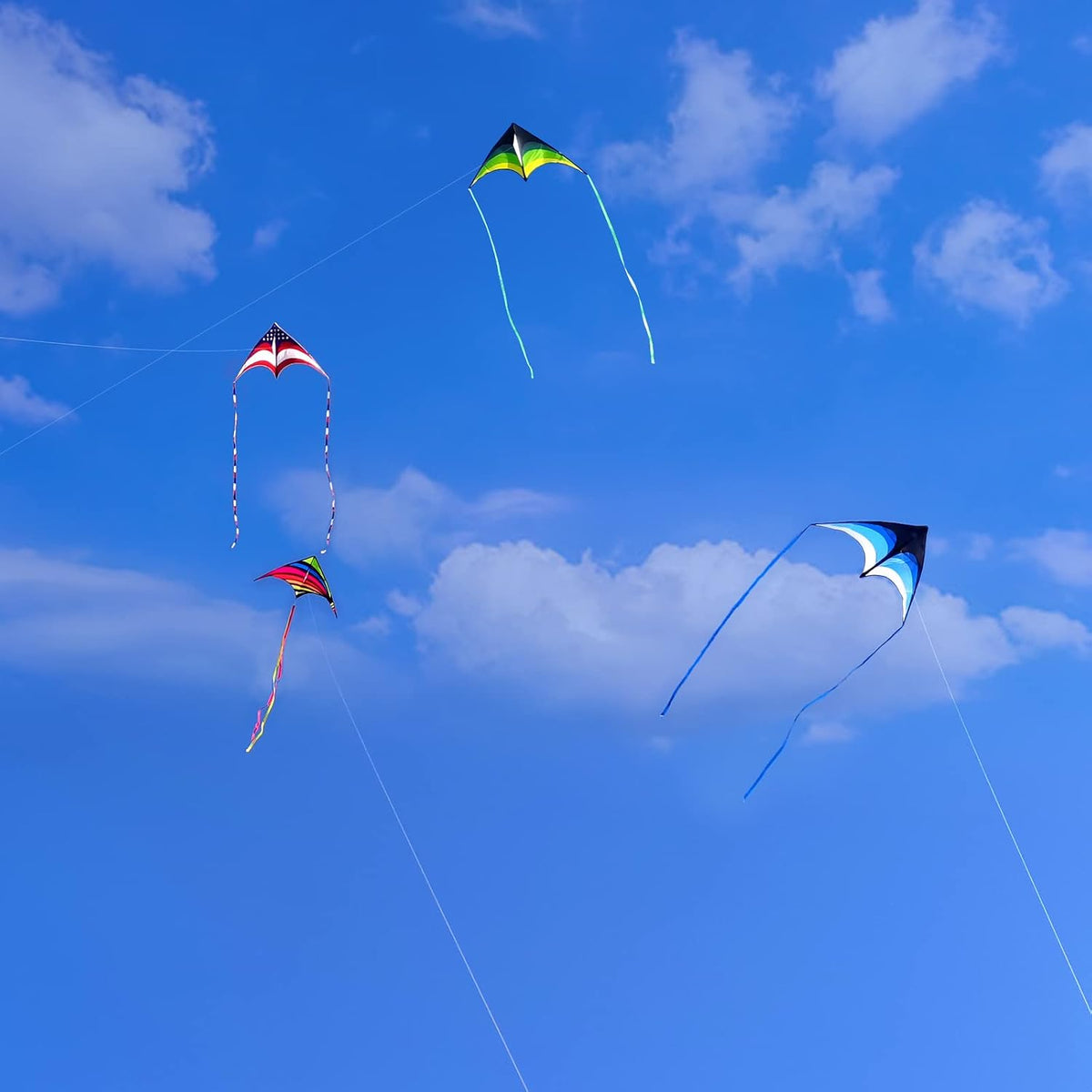 Delta Kite for Kids Ages 4-12, Extremely Easy to Fly Beach Kites for Adults