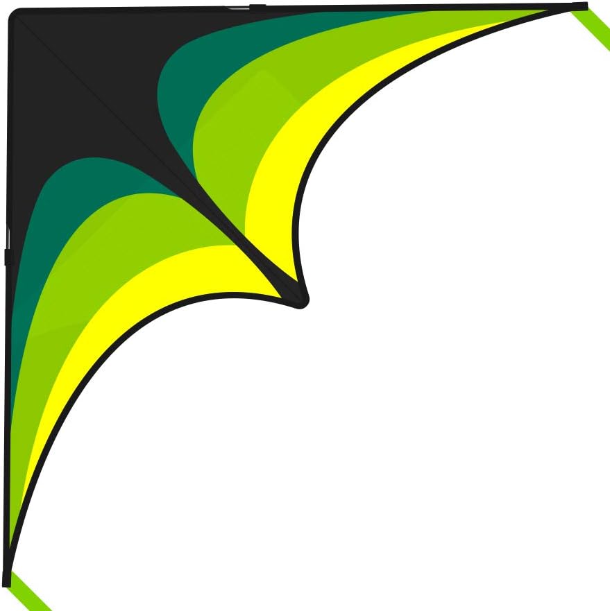 Delta Kite for Kids Ages 4-12, Extremely Easy to Fly Beach Kites for Adults