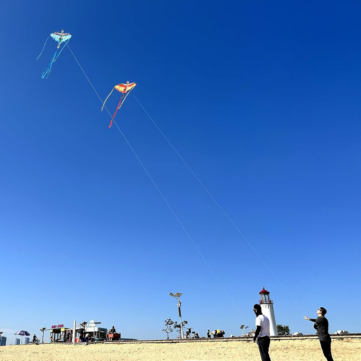 Dragon Kite for Kids & Adults, Easy to Fly Beach Kites for Boys & Girls