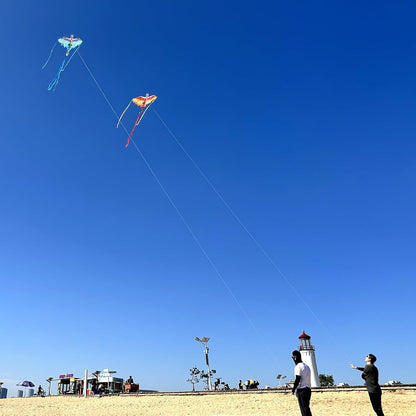 Dragon Kite for Kids & Adults, Easy to Fly Beach Kites for Boys & Girls