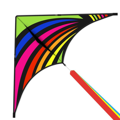 Delta Kite for Kids Ages 4-12, Extremely Easy to Fly Beach Kites for Adults
