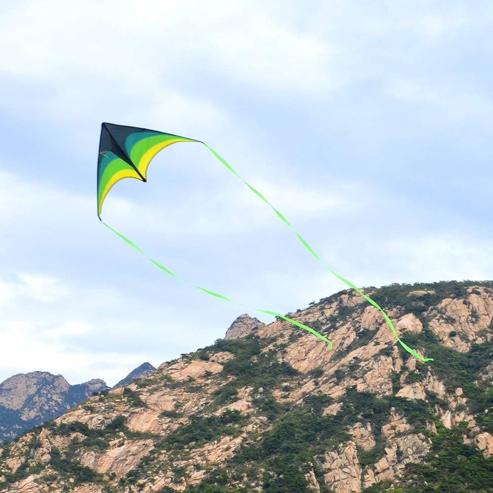 Delta Kite for Kids Ages 4-12, Extremely Easy to Fly Beach Kites for Adults