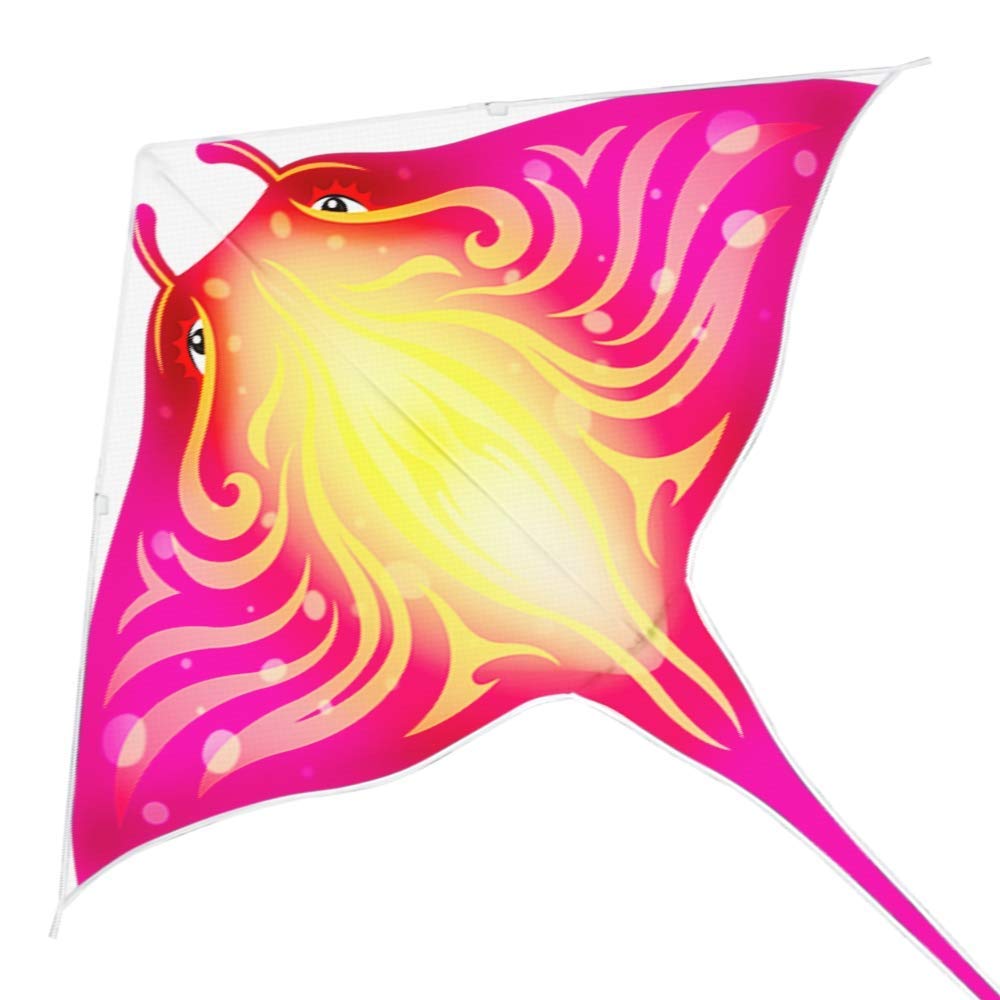 Devil Fish Kite for Kids Ages 4-12, Easy to Fly Beach Kites for Adults