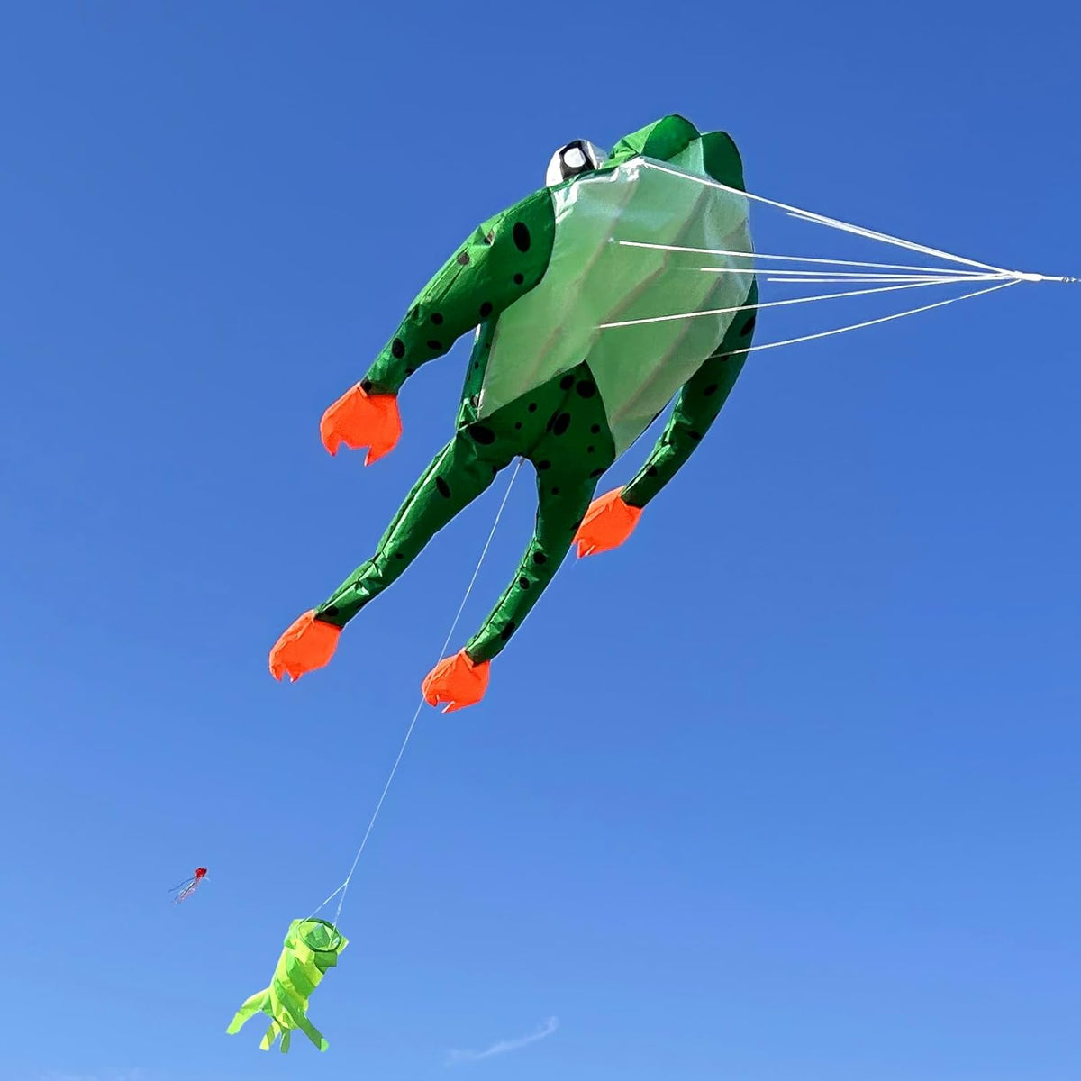 HENGDA KITE 3D Frog Kite for Adults,Frameless Soft Parafoil Giant Kites