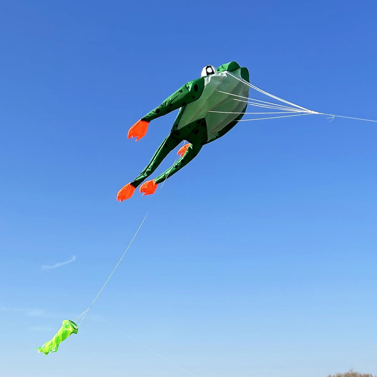 HENGDA KITE 3D Frog Kite for Adults,Frameless Soft Parafoil Giant Kites