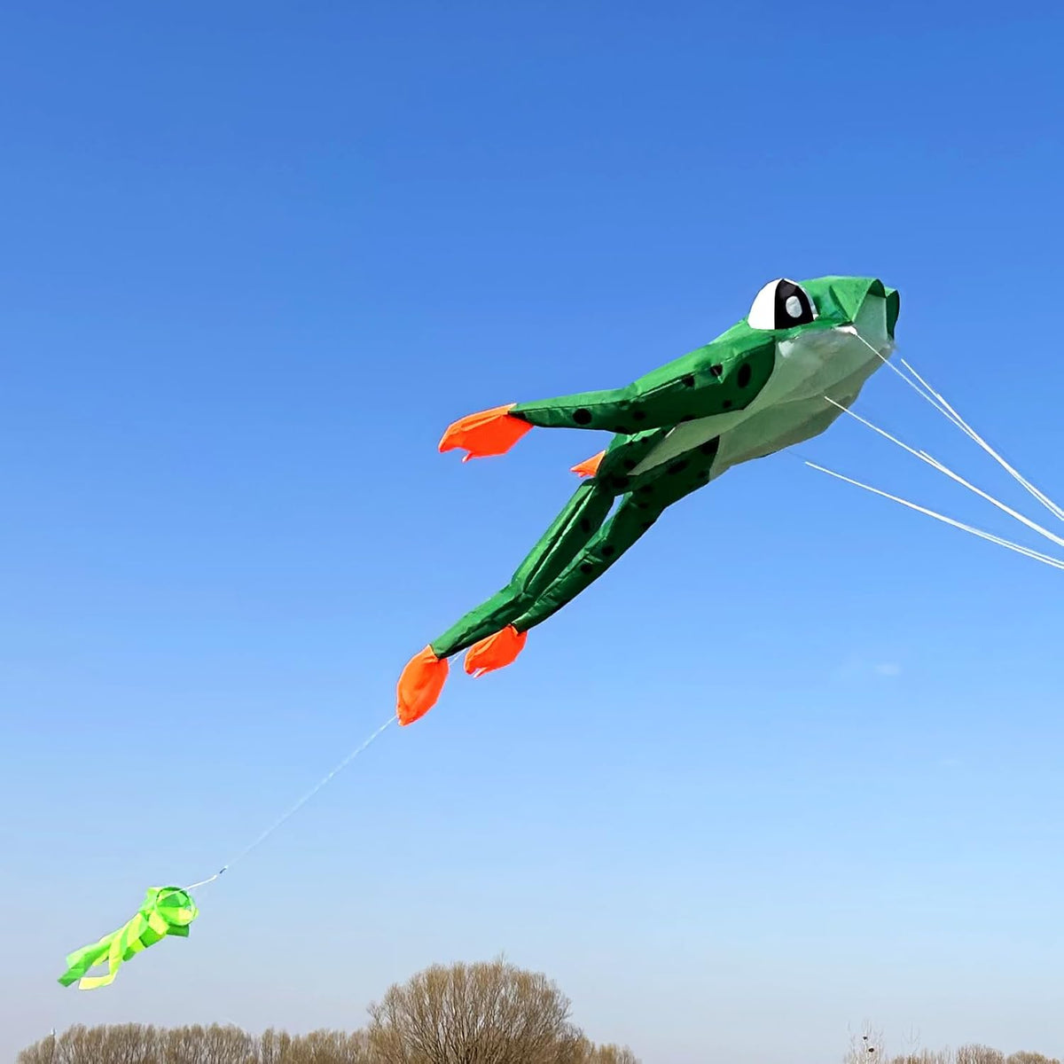 HENGDA KITE 3D Frog Kite for Adults,Frameless Soft Parafoil Giant Kites