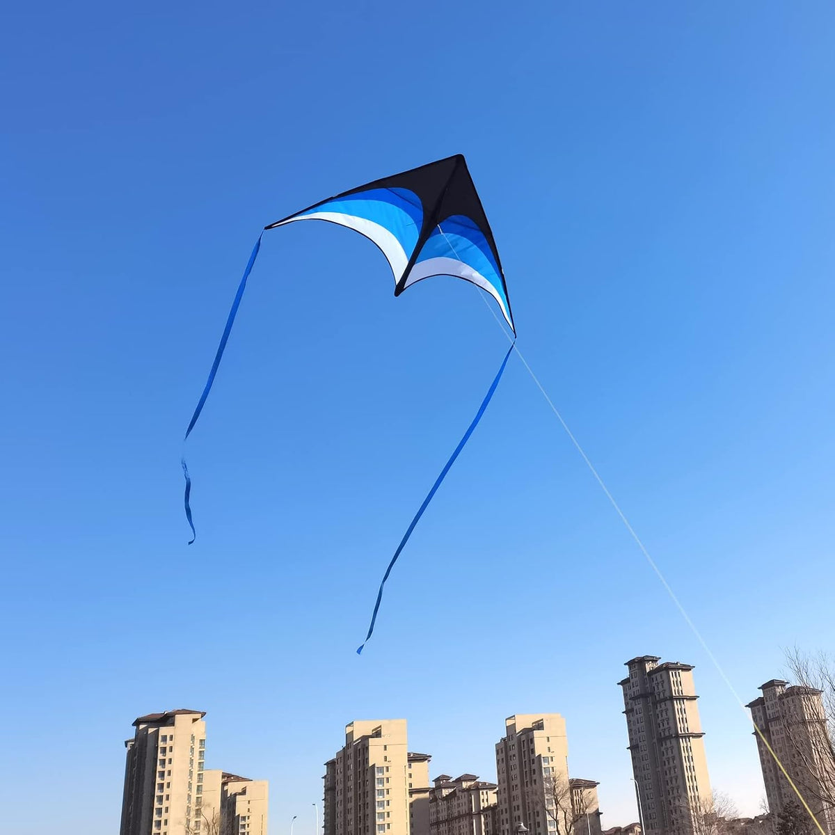 Delta Kite for Kids Ages 4-12, Extremely Easy to Fly Beach Kites for Adults
