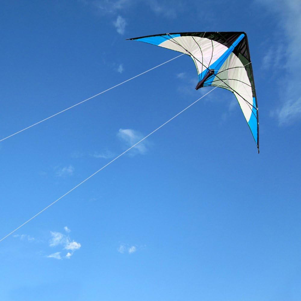 HENGDA KITE-Upgrade Star Rhyme 48 Inch Dual Line Stunt Kite for Kids and Adults,Outdoor Sports,Beach and Fun Sport Kite,Handle,Line,and Bag Included
