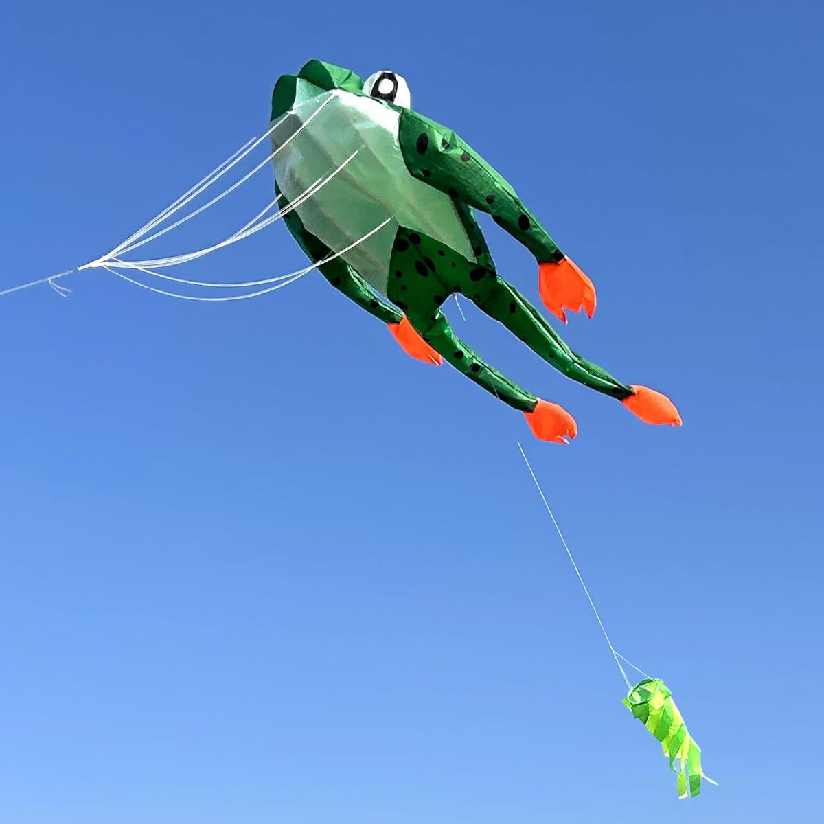 HENGDA KITE 3D Frog Kite for Adults,Frameless Soft Parafoil Giant Kites
