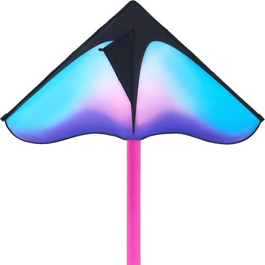 JOYIN Large Delta Beach Kite Gradient Blue & Purple for Kids and Adults