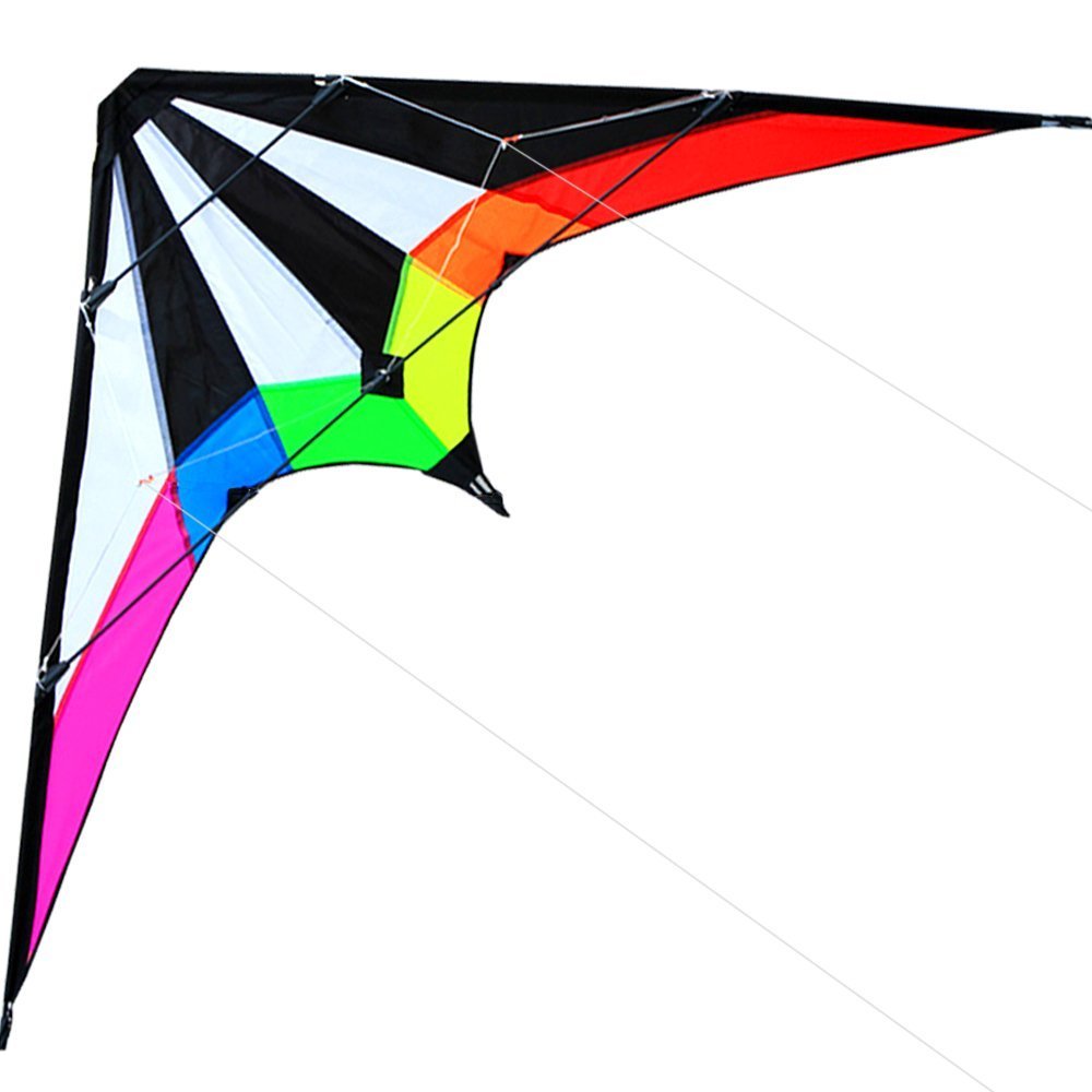 HENGDA KITE-Upgrade Star Rhyme 48 Inch Dual Line Stunt Kite for Kids and Adults,Outdoor Sports,Beach and Fun Sport Kite,Handle,Line,and Bag Included