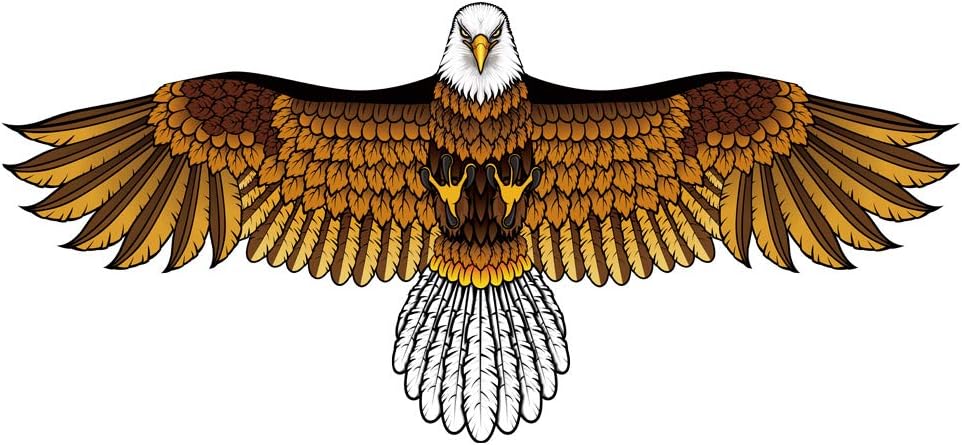 Bald Eagle Kite for Kids & Adults, Easy to Fly Hawk Kites for Boys Age 4-12