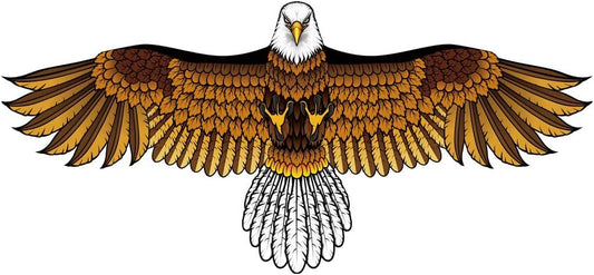 Bald Eagle Kite for Kids & Adults, Easy to Fly Hawk Kites for Boys Age 4-12