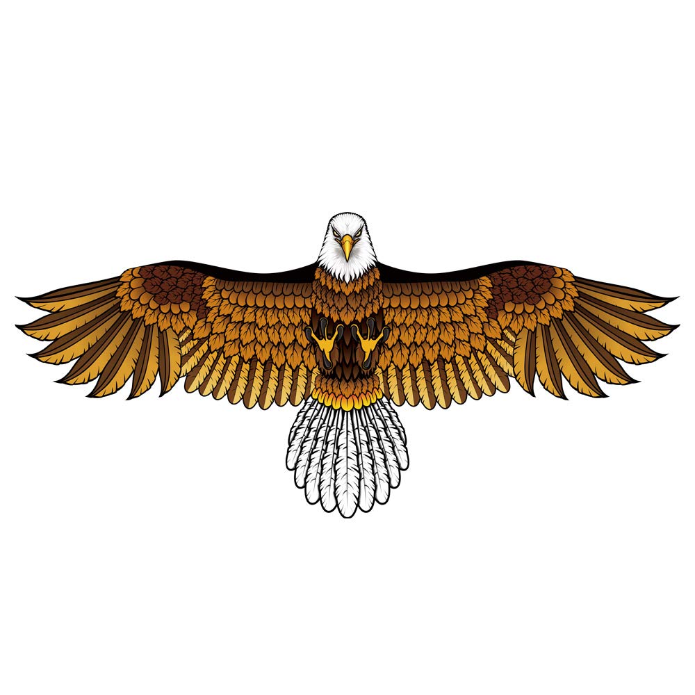 Bald Eagle Kite for Kids & Adults, Easy to Fly Hawk Kites for Boys Age 4-12