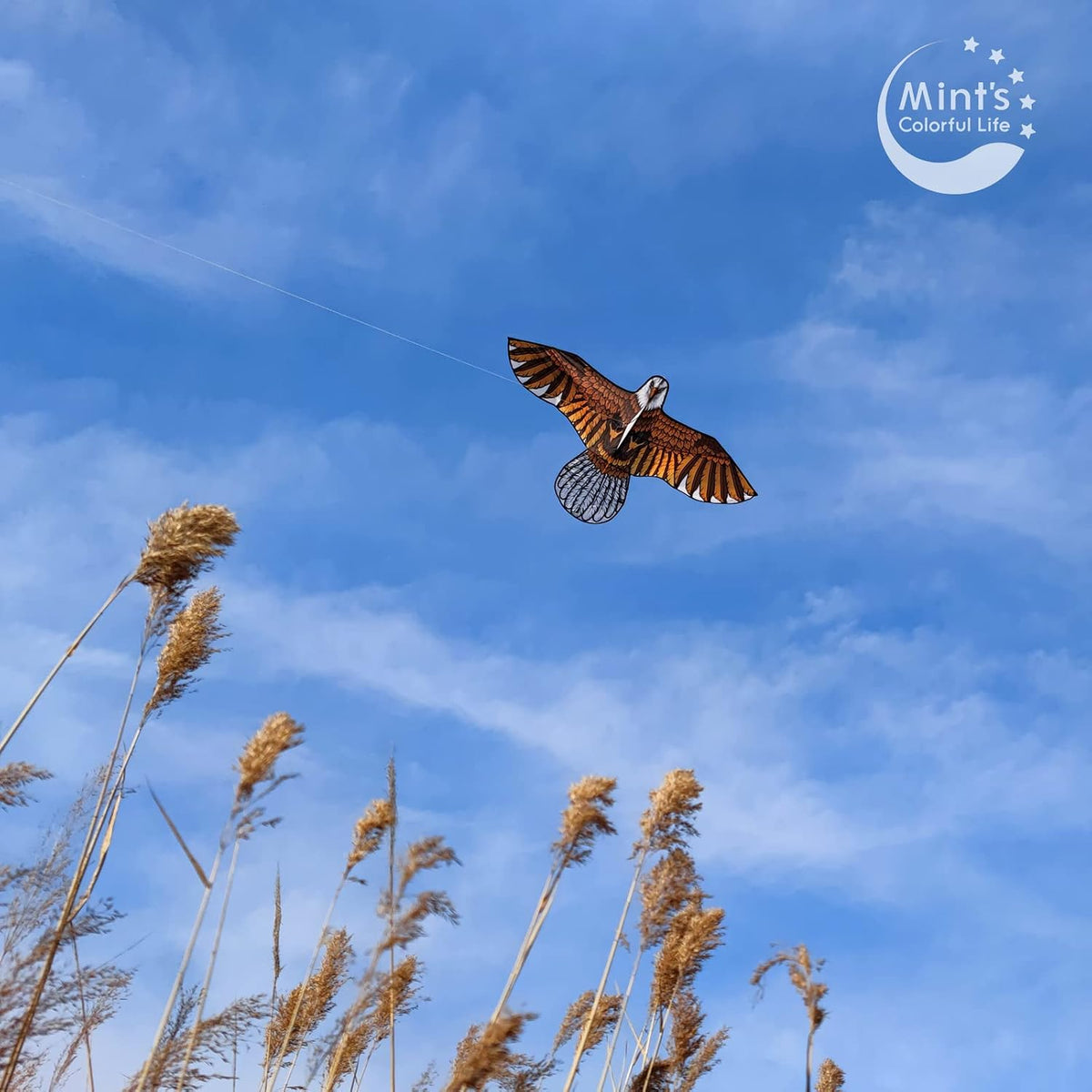 Bald Eagle Kite for Kids & Adults, Easy to Fly Hawk Kites for Boys Age 4-12
