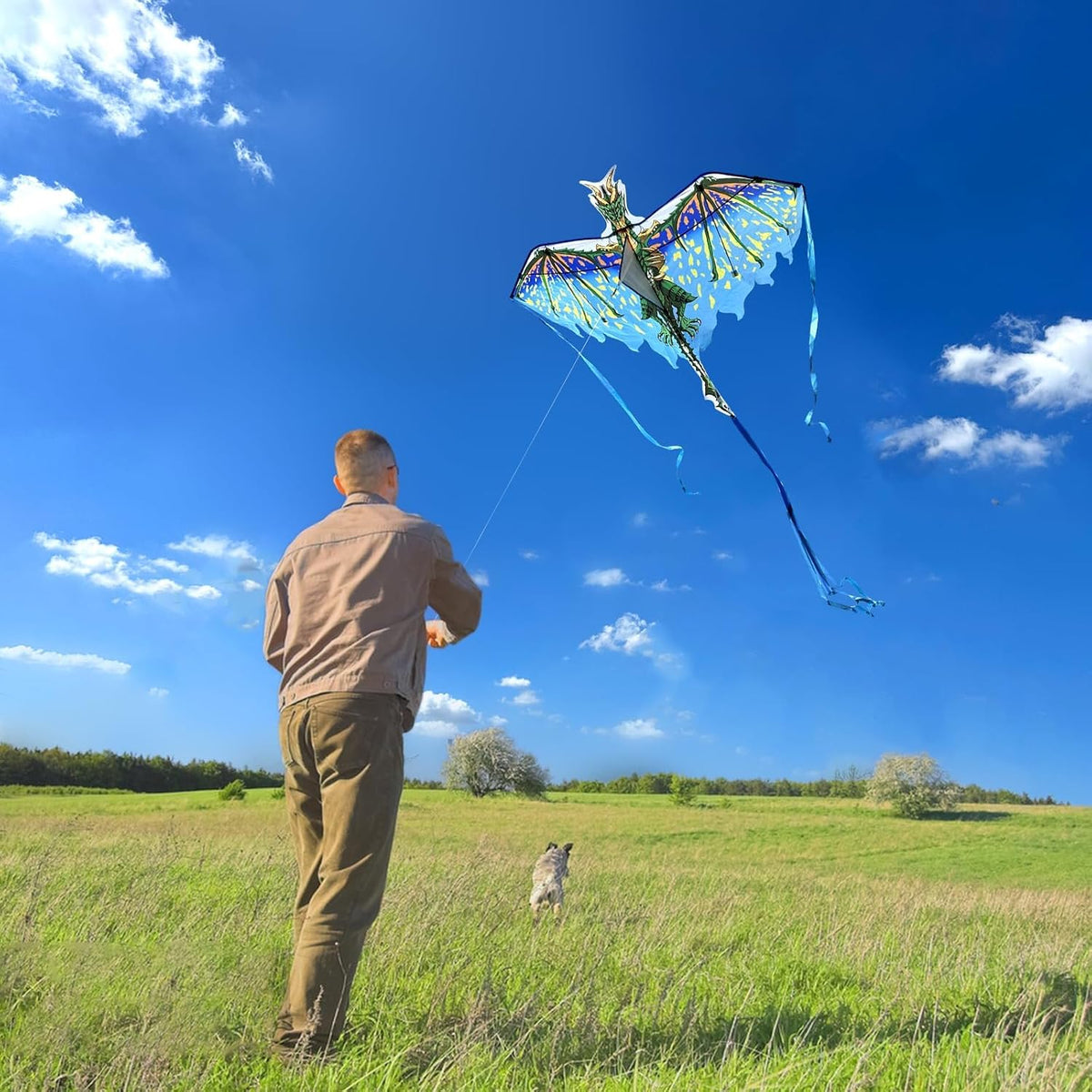 Dragon Kite for Kids & Adults, Easy to Fly Beach Kites for Boys & Girls