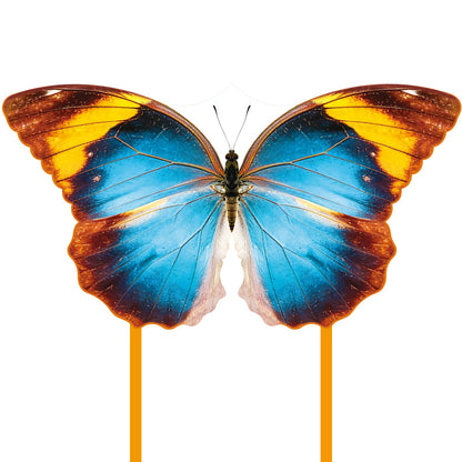 Butterfly Kite for Kids & Adults, Outdoor Kite, Perfect for Beginners, Easy to Fly, Ideal for Beaches, backyards, Grassy Areas
