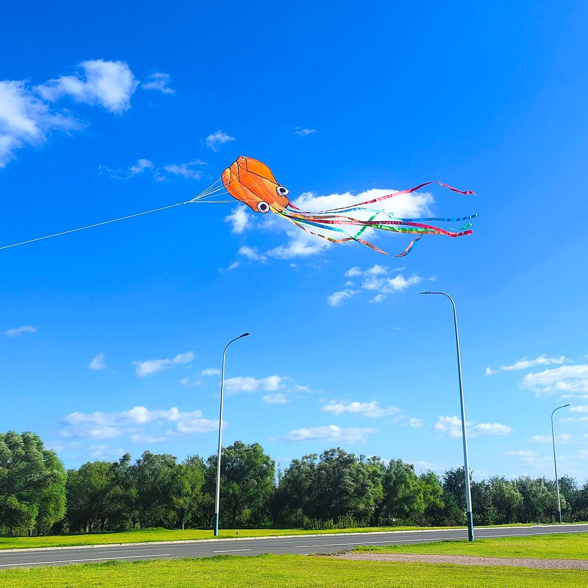 Octopus Kite & Kite Reel Set, Easy to Fly for Beach Trip, Nice Winder for Kids & Adults, Single Line Frameless Style with 7.2 Inch Wheel Kit (Orange)