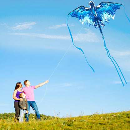 Large Dragon Kite for Kids & Adults, Easy to Fly Outdoor Beach Park Kite