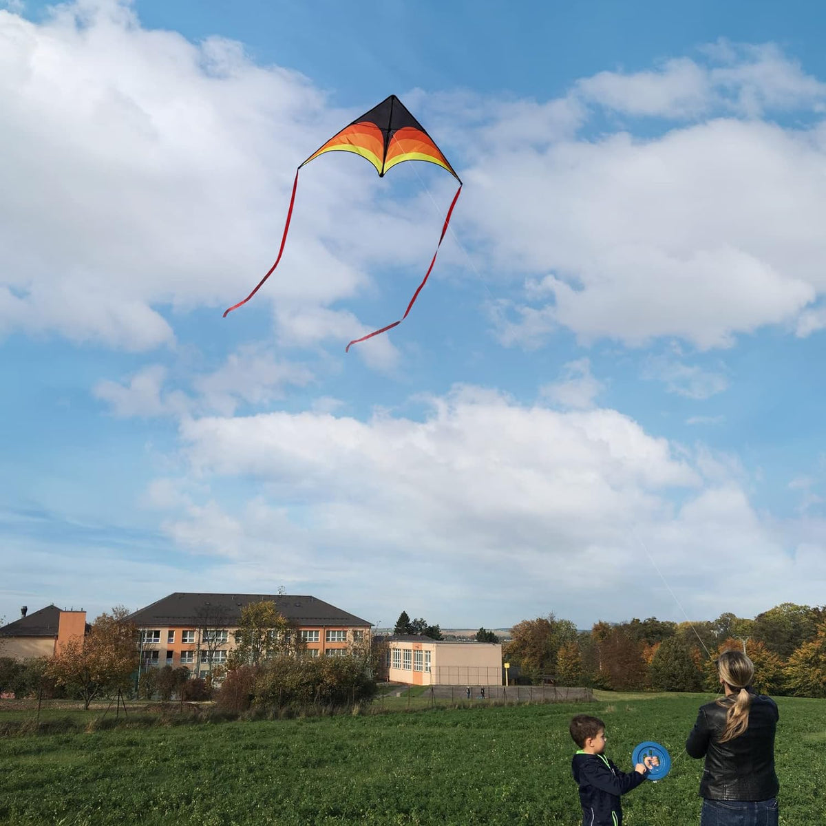 Large Single Line Beach Kite for Adults,Easy to Fly Kites for Kids Age 4-12