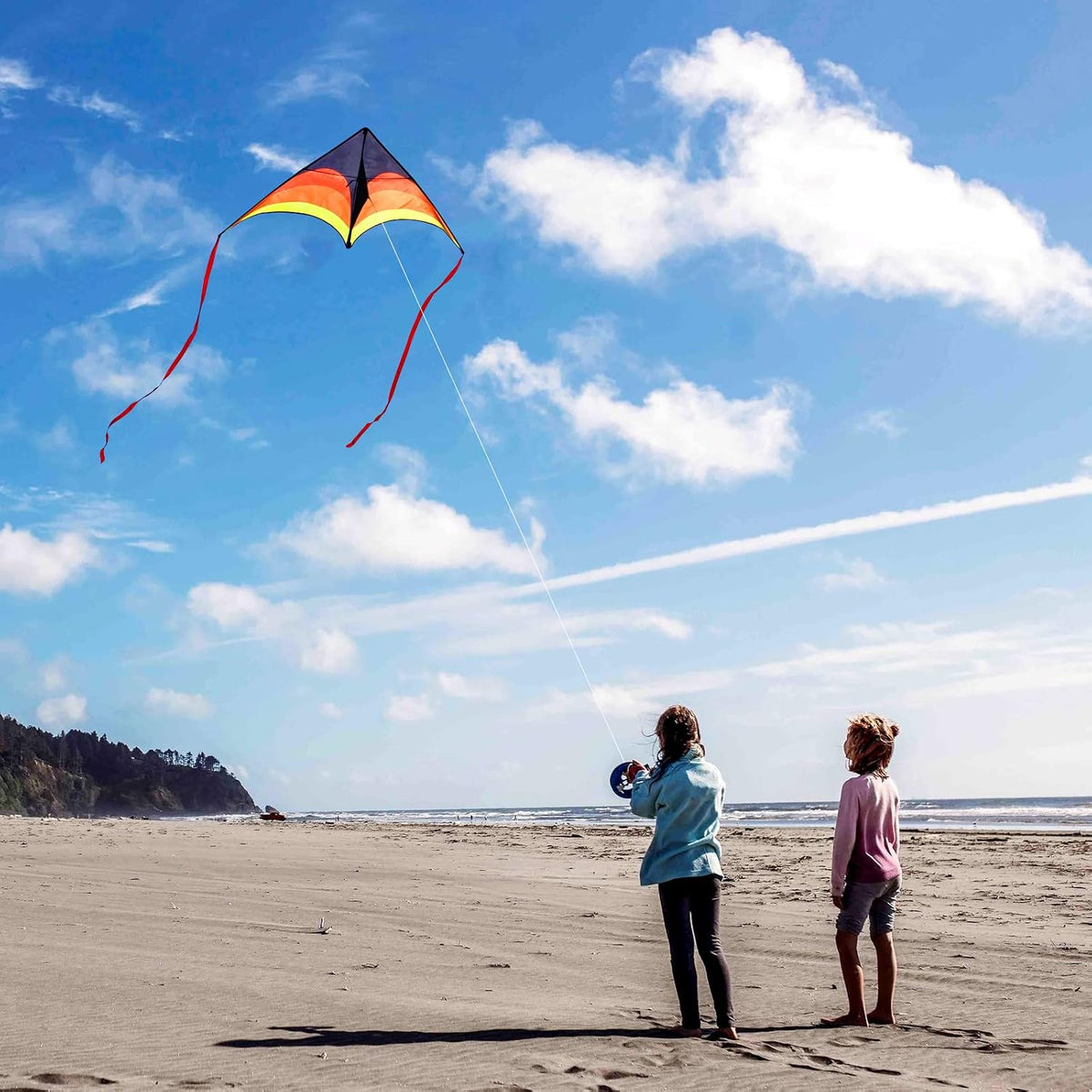 Large Single Line Beach Kite for Adults,Easy to Fly Kites for Kids Age 4-12