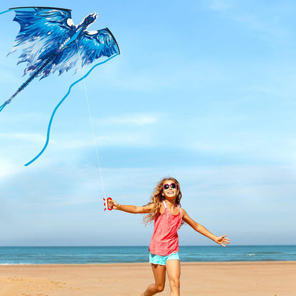 Large Dragon Kite for Kids & Adults, Easy to Fly Outdoor Beach Park Kite