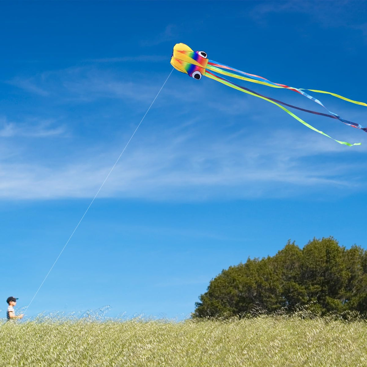 Large Octopus Kites for Kids & Adults, Big Beginner Beach Kites