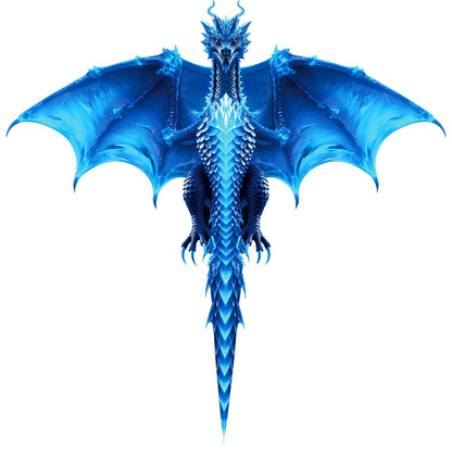 Dragon Kite for Kids and Adults, Easy to Fly for Beach