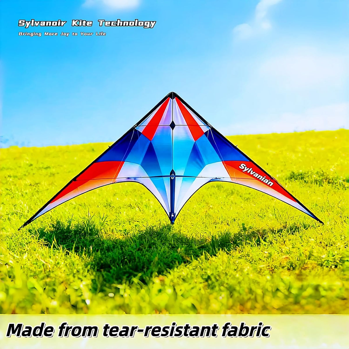 57-Inch Double-Line Sport Stunt Kite with Handle, Ready to Fly & Easy to Control, Ideal for Outdoor Fun at Beach & Park