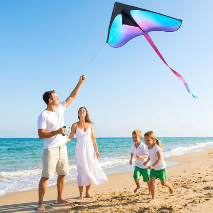 JOYIN Large Delta Beach Kite Gradient Blue & Purple for Kids and Adults