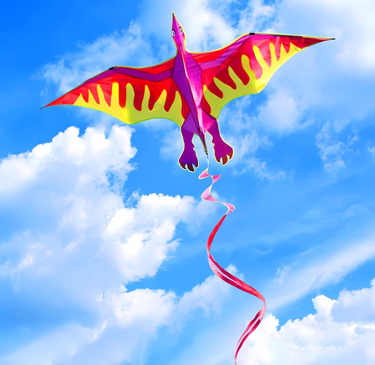 HENGDA KITE 2 Pack Dragon Kites for Kids and Adults，Beach Kite Easy to Fly