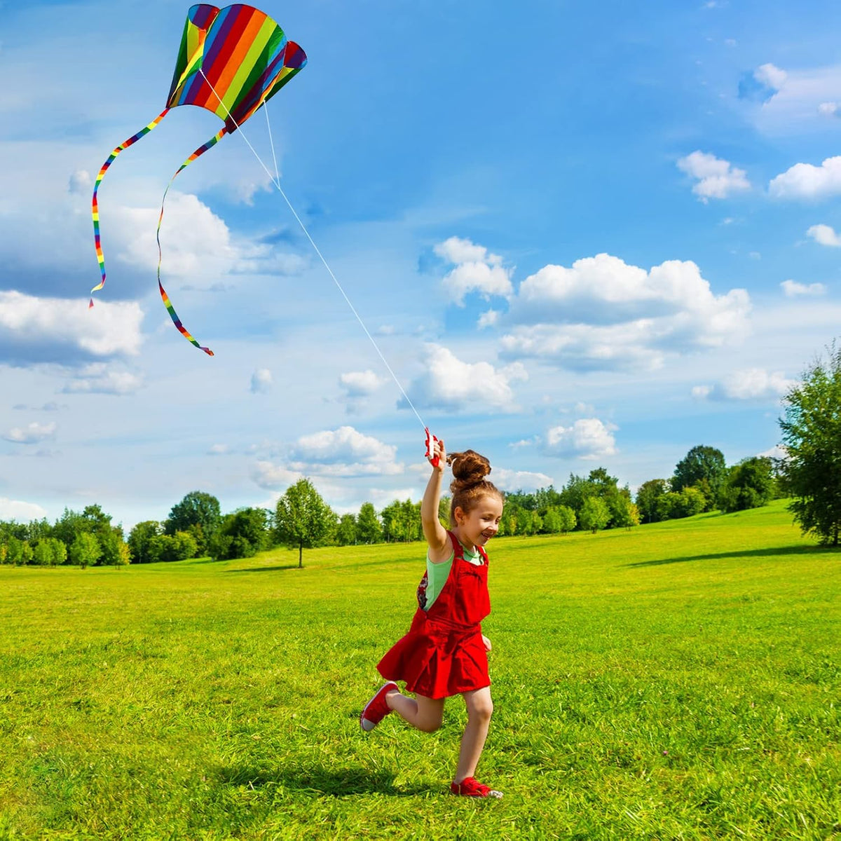 HENGDA KITE for Kids&Adults Rainbow Parafoil Kite with Long Tail,with 700 Feet Kite Reel String, Easy to Fly, Suitable for Children to Play, do not Need to Assemble，Perfect for Beach Fun