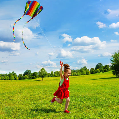 HENGDA KITE for Kids&Adults Rainbow Parafoil Kite with Long Tail,with 700 Feet Kite Reel String, Easy to Fly, Suitable for Children to Play, do not Need to Assemble，Perfect for Beach Fun