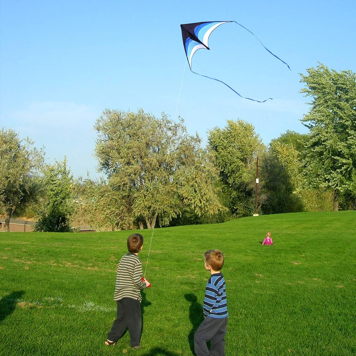 Delta Kite for Kids Ages 4-12, Extremely Easy to Fly Beach Kites for Adults