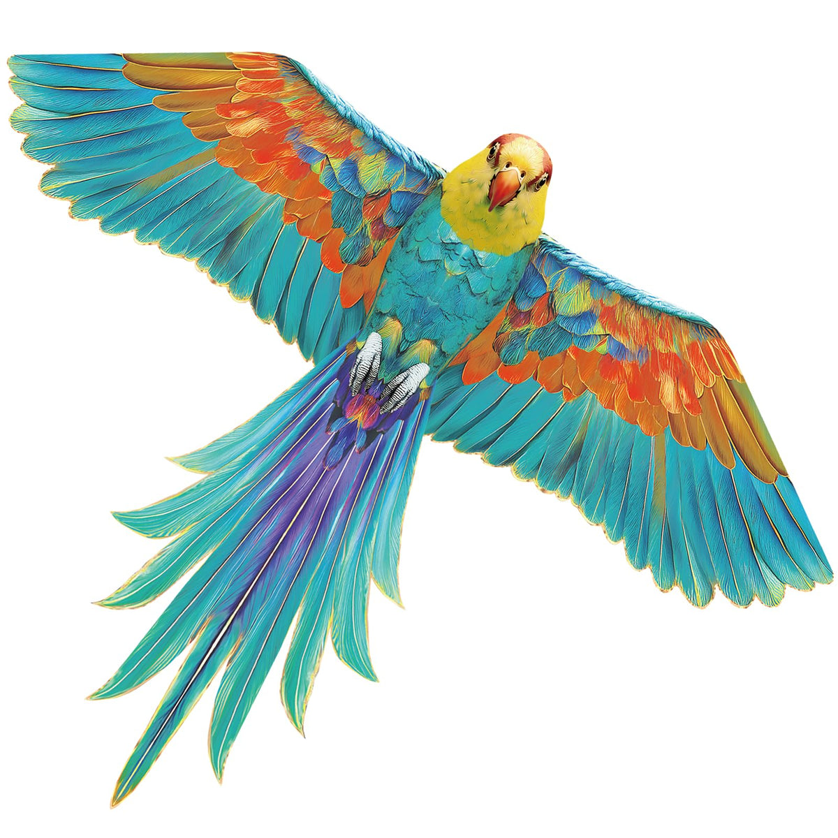 60" Large Bird Kite for Kids & Adults — Realistic Bird Design, Easy to Fly Beginner Kite with Handle & Line, Perfect for Beach Park Backyard Outdoor Fun