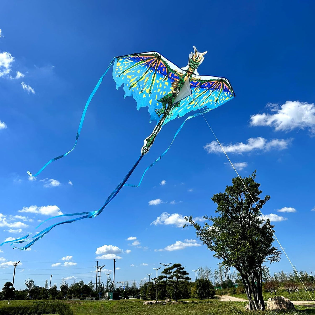 Dragon Kite for Kids & Adults, Easy to Fly Beach Kites for Boys & Girls