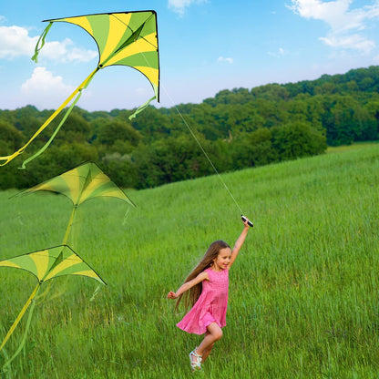 JOYIN 3 Packs Large Delta Kite Gradient Rainbow, Easy to Fly Huge for Kids and Adults, Large Delta Beach Kite for Outdoor Games and Activities