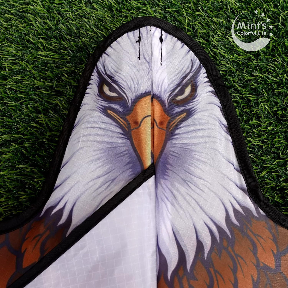 Bald Eagle Kite for Kids & Adults, Easy to Fly Hawk Kites for Boys Age 4-12