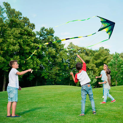 Kite, Large Delta Kites for Kids and Adults, Easy to Fly Rainbow Kites, Durable Multifunctional Beach Kite, Tangle-Free Flight Line, Durable