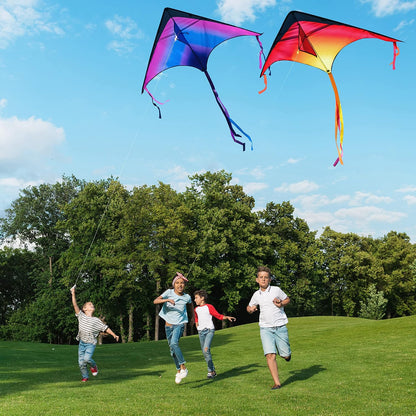 JOYIN 3 Packs Large Delta Kite Gradient Rainbow, Easy to Fly Huge for Kids and Adults, Large Delta Beach Kite for Outdoor Games and Activities